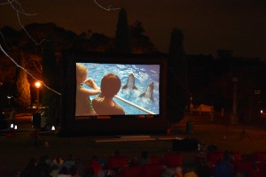 Festival of Mosman - Moonlight Movie and Music - Dolphin Tale